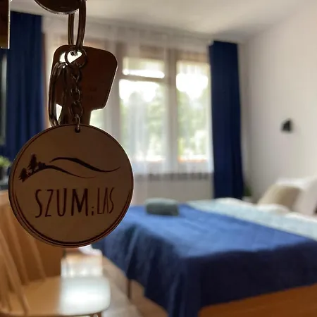 Szum I *